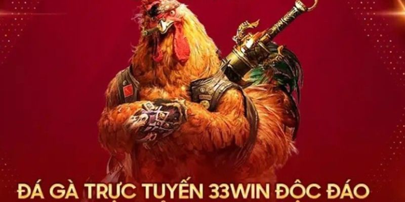 Đánh giá ưu điểm nổi bật khi tham gia đá gà mới nhất