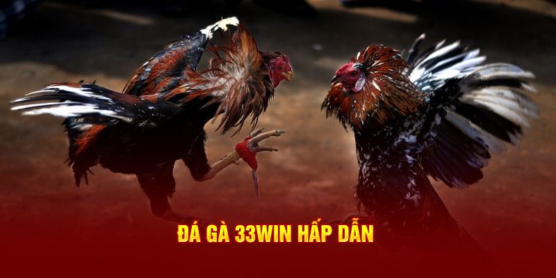 Thông tin mới nhất về sảnh game đá gà 33WIN cho newbie